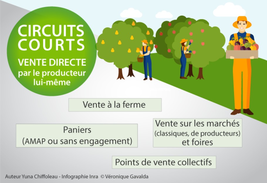 Infographie INRA Véronique Gavalda